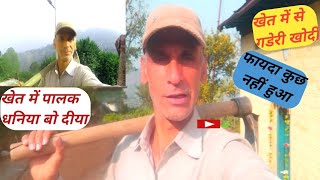 आज खेत में से गडेरी निकाली और खेत में धनिया और पालक बोयाkheti baadi vloge pahadilifestylevlog [upl. by Ebbie]