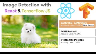 Image Detection using Tensorflow JS in React [upl. by Christi]