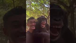 Limbani the chimpanzee smiles in video shared by caretaker [upl. by Hedley]