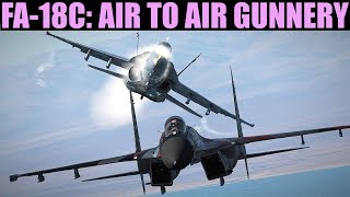 FA18C Hornet Air To Air Gunnery BORSTT Tutorial  DCS WORLD [upl. by Oel]