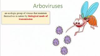 Arboviruses [upl. by Lantha605]