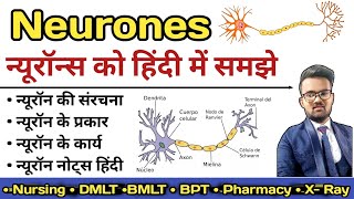 Neurone in hindi  Structure of Neurone  Sensory and Motor Neurones  Types of Neurone [upl. by Helprin]