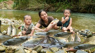 Encounter a huge school of fish  catch fish and trap fish on a rainy day  cook with your children [upl. by Haeckel]