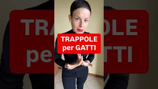 DIRITTOINPILLOLE  TRAPPOLE per GATTI [upl. by Sivla932]