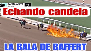 LA NUEVA BALA DEL TIO BOB BAFFERT ECHANDOCANDELA caballos [upl. by Attenev]