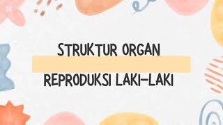 SISTEM REPRODUKSI [upl. by Britt]