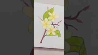 Easy flower drawing idea 💐🌿  Subscribe for more 🫶🏻☺️💓  youtubeshorts art drawing shorts [upl. by Lehar]