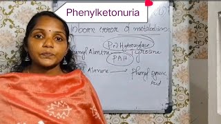 Mendelian Disorder 3 Phenyketonuria of plus two zoologyexam zoologyplustwoscience students [upl. by Ahsoek992]