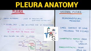 Pulmonary Vasculature – Respiratory Medicine  Medical Education Videos [upl. by Gilda]