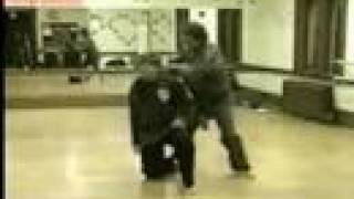 Paul Mills American Kenpo Speed Clip [upl. by Tamberg]