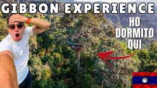 LAOS 🇱🇦 GIBBON EXPERIENCE  Ho dormito nella casa sullalbero più alta del mondo [upl. by Gunning]