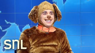 Weekend Update Kristi Noems Other Dog Defends His Owner  SNL [upl. by Artemas]