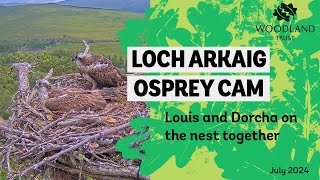 Louis and Dorcha on the nest looking healthy and fed  Loch Arkaig Osprey Cam [upl. by Fisher617]