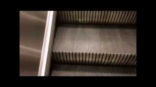 Montgomery Escalators  Kohls Downers Grove IL [upl. by Berliner]