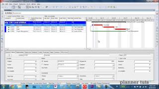 Level of Effort Percent Complete  Primavera P6 Tutorial [upl. by Laden]