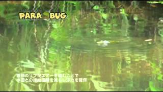 MEGABASS MOVIE 073 PARA BUG [upl. by Marou382]