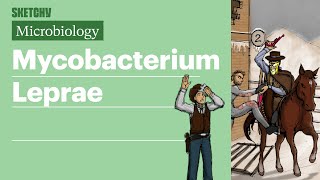 Mycobacterium Leprae Microbiology  USMLE Step 1  Sketchy Medical [upl. by Shandeigh]