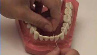 Smile Brush Floss  Flossing Tutorial [upl. by Ranie]