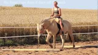 My lovely fjordhorse Freja [upl. by Aenit]