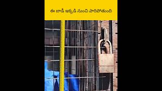 E bird andharni kapaduthundhi facts telugu amazingfacts [upl. by Halonna]