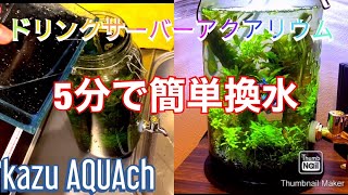 【アクアリウム】5分で簡単換水編 ドリンクサーバーで立ち上げたボトルリウム【kazu AQUAch】 [upl. by Karissa]