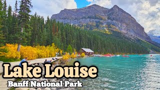 Lake Louise on fall Season 2024 lakelouise alberta canada banff [upl. by Ayt76]