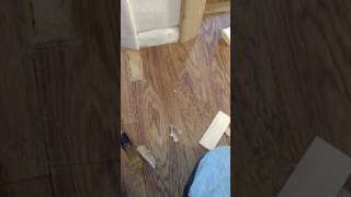 Repair patch on laminate floor [upl. by Cower]