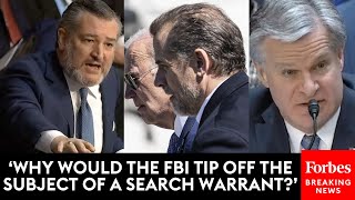 BREAKING NEWS Ted Cruz Furiously Grills FBIs Wray About Hunter Biden Probe [upl. by Tnemelc]