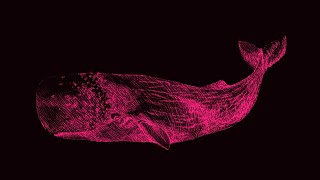 Decoding Nonhuman Communication  Polylogues [upl. by Yniattirb]