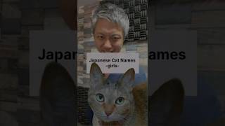 Japanese female cat name recommendations 🐱 [upl. by Hach]