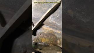 MARUTI SWIFT DZIRE OVERHEATING PROBLEM COOLAND LEAKAGE PROBLEM engine viral car swiftlover [upl. by Tnattirb]