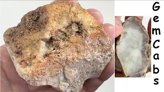 Gila Bend Arizona Agate Sagenite Nodule Slabbed 1 [upl. by Laird]