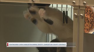 Charleston County and Charleston Animal Society continue negotiations over expired contract [upl. by Naresh124]