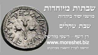 💰מחצית השקל  פרשת שקלים יש לי מושג [upl. by Nosiddam705]