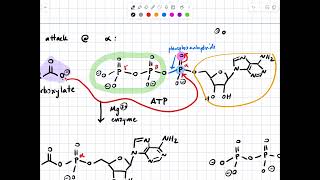 F2024 352 L10 Chapter 16 Sep25 [upl. by Wickman]