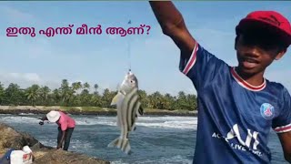 ഒരു variety fish ഗായ്‌സ് ഇതിന്റെ പേര് അറിയാമോvideo fishing fish fishingvideo [upl. by Richel525]