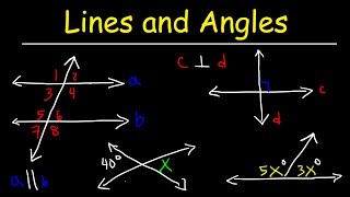 Parallel and Perpendicular Lines Transversals Alternate Interior Angles Alternate Exterior Angles [upl. by Ethelred]