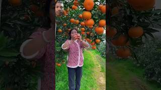 naturallifeb fruit satisfying naturalclips fruitcutting naturelife youtubevideo [upl. by Drusie]