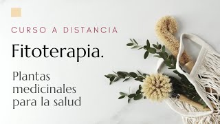 Fitoterapia Plantas Medicinales para la Salud  Curso a Distancia [upl. by Nohsar551]