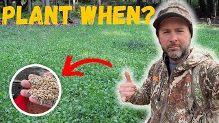 Most Important Fall Food Plot Planting Video To WATCH [upl. by Nawj189]