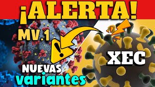 ¿Estamos ante una NUEVA OLA de coronavirus en 2024 [upl. by Ibot187]