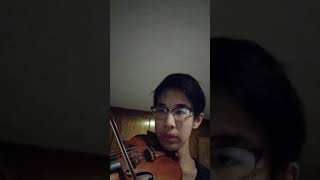 El Jarabe Tapatio  Ivan Tian Violin 🎻 [upl. by Adianes]