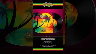 Dancehall Tropical Riddim  Huergo Free UseUso Libre Dancehall Reggae Instrumental Beat [upl. by Phelan]