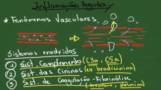 Inflamação Aguda  Resumo  Patologia Geral [upl. by Pillihp]