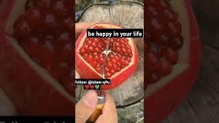 nature youtubeshorts subscribe laillahaillah love likesshorts [upl. by Marolda]