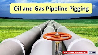 12 Oil and Gas Pipeline Pigging [upl. by Kennet]