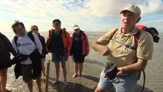 Wattenmeer  Erholung im Rhythmus der Natur  UNESCO Welterbe [upl. by Shewmaker]