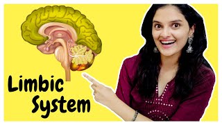 LIMBIC SYSTEM in the Brain  Anatomy and Functions of the Parts of the Limbic System  WLB [upl. by Etnoek]