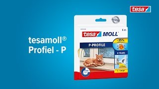 tesamoll Profiel P  isoleren  kieren 2 tot 5mm [upl. by Eckardt130]