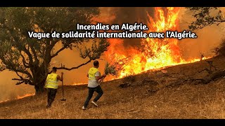 Incendies en Algérie Vague de solidarité internationale avec l’Algérie [upl. by Assyli]